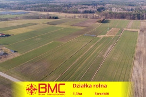 Działka na sprzedaż 13560m2 lubliniecki Koszęcin Strzebiń Kościuszki - zdjęcie 1