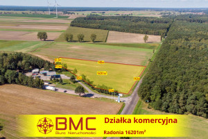 Działka na sprzedaż 16204m2 gliwicki Wielowieś Radonia - zdjęcie 1