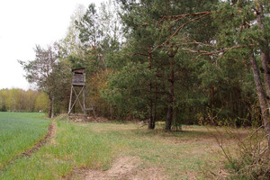 Działka na sprzedaż 49500m2 płoński Baboszewo Rybitwy - zdjęcie 2