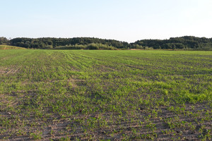 Działka na sprzedaż 90000m2 płoński Baboszewo Dłużniewo - zdjęcie 1