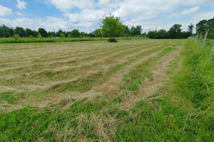 Działka na sprzedaż 2606m2 tarnowski Wierzchosławice Kępa Bogumiłowicka Zbylitowska - zdjęcie 1