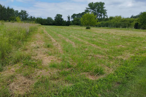 Działka na sprzedaż 2606m2 tarnowski Wierzchosławice Kępa Bogumiłowicka Zbylitowska - zdjęcie 3