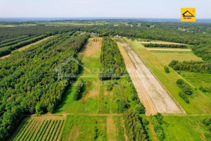 Działka na sprzedaż 23000m2 opolski Karczmiska Uściąż-Kolonia Uściąż Kolonia - zdjęcie 3