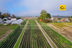 Działka na sprzedaż 10017m2 łęczyński Ludwin Zezulin Niższy Zezulin - zdjęcie 1