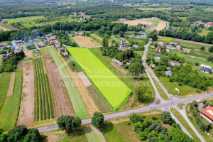 Działka na sprzedaż 10500m2 opolski Karczmiska Uściąż Uściąż - zdjęcie 1