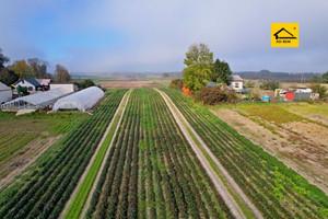 Działka na sprzedaż 10017m2 łęczyński Ludwin Zezulin Niższy Zezulin - zdjęcie 1