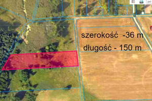 Działka na sprzedaż 5600m2 białostocki Czarna Białostocka Ruda Rzeczka - zdjęcie 2