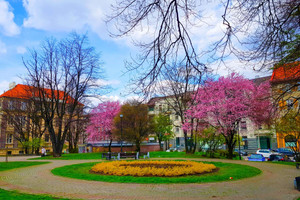 Mieszkanie na sprzedaż 80m2 Katowice Śródmieście Plac Oddziałów Młodzieży Powstańczej - zdjęcie 1