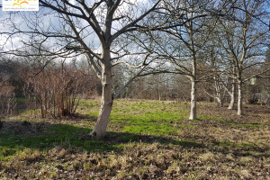 Działka na sprzedaż 1000m2 Kraków Swoszowice Wyrwa - zdjęcie 3