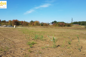 Działka na sprzedaż 3100m2 wielicki Biskupice Przebieczany - zdjęcie 2