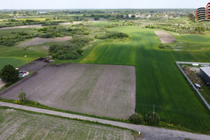 Działka na sprzedaż 10000m2 Chełm Okszówek - zdjęcie 2