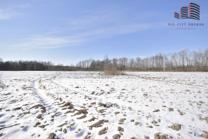 Działka na sprzedaż 3000m2 lubartowski Ostrów Lubelski Rozkopaczew - zdjęcie 3