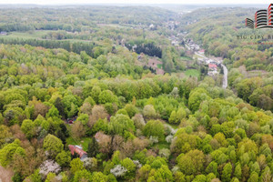 Działka na sprzedaż 8126m2 puławski Kazimierz Dolny Doły - zdjęcie 3