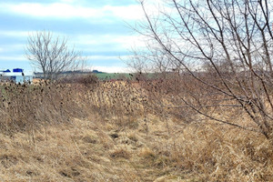 Działka na sprzedaż 2971m2 opolski Opole Lubelskie Długa - zdjęcie 1