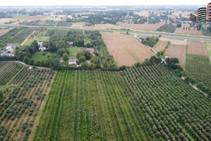 Działka na sprzedaż lubelski Jastków Dąbrowica - zdjęcie 2