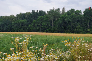 Działka na sprzedaż 1031m2 lubelski Konopnica Motycz - zdjęcie 1