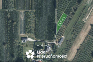 Działka na sprzedaż 1450m2 lubelski Jastków Dębówka - zdjęcie 2