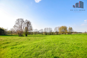 Dom na sprzedaż 338m2 parczewski Siemień Gródek Szlachecki - zdjęcie 3