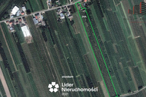 Dom na sprzedaż 71m2 opolski Opole Lubelskie Ćwiętalka - zdjęcie 2