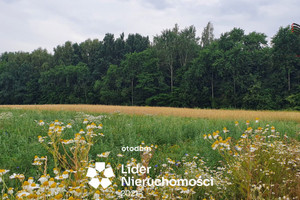 Działka na sprzedaż 1031m2 lubelski Konopnica Motycz - zdjęcie 2