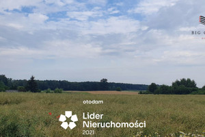 Działka na sprzedaż 1031m2 lubelski Konopnica Motycz - zdjęcie 2