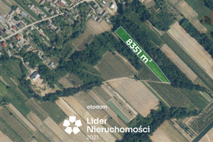 Działka na sprzedaż 8000m2 opolski Wilków Rogów - zdjęcie 1