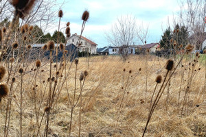 Działka na sprzedaż 2971m2 opolski Opole Lubelskie Długa - zdjęcie 4