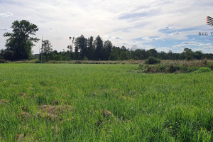 Działka na sprzedaż 8000m2 lubelski Jastków Moszna-Kolonia - zdjęcie 1