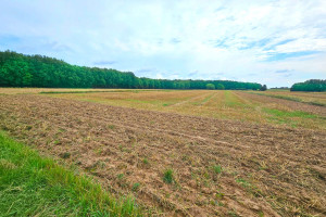 Działka na sprzedaż 4000m2 lubelski Konopnica Radawiec Duży - zdjęcie 3