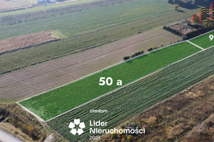 Działka na sprzedaż 5070m2 lubelski Konopnica - zdjęcie 2