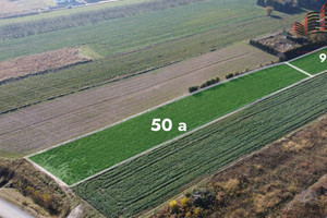 Działka na sprzedaż 5070m2 lubelski Konopnica - zdjęcie 2