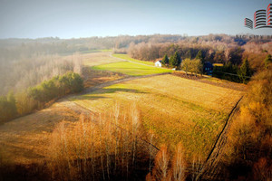 Działka na sprzedaż 23596m2 puławski Kazimierz Dolny Doły - zdjęcie 3