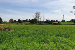 Działka na sprzedaż 8000m2 lubelski Jastków Moszna-Kolonia - zdjęcie 2