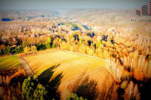 Działka na sprzedaż 23596m2 puławski Kazimierz Dolny Doły - zdjęcie 1