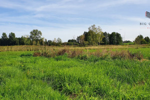 Działka na sprzedaż 8000m2 lubelski Jastków Moszna-Kolonia - zdjęcie 4