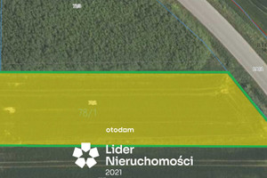 Działka na sprzedaż 2100m2 lubelski Strzyżewice - zdjęcie 2