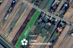 Działka na sprzedaż 3880m2 lubelski Niemce Łagiewniki - zdjęcie 1