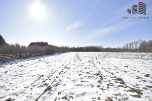 Działka na sprzedaż 3000m2 lubartowski Ostrów Lubelski Rozkopaczew - zdjęcie 2