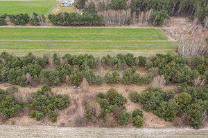 Działka na sprzedaż 3000m2 płoński Joniec Królewo - zdjęcie 2