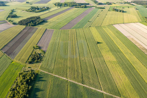 Działka na sprzedaż 10300m2 nowodworski Zakroczym Błogosławie - zdjęcie 2