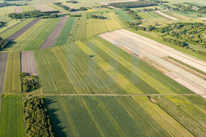 Działka na sprzedaż 10300m2 nowodworski Zakroczym Błogosławie - zdjęcie 3