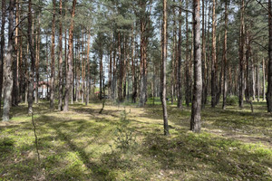 Działka na sprzedaż 1400m2 kłobucki Miedźno Borowa - zdjęcie 3