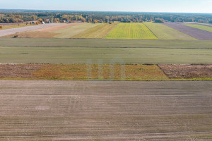 Działka na sprzedaż 3000m2 płoński Joniec Krajęczyn - zdjęcie 3