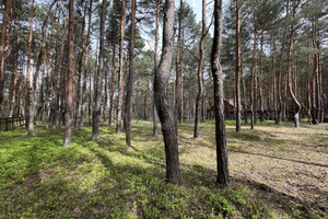 Działka na sprzedaż 1400m2 kłobucki Miedźno Borowa - zdjęcie 2