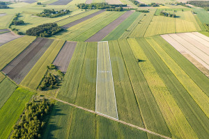 Działka na sprzedaż 10300m2 nowodworski Zakroczym Błogosławie - zdjęcie 1