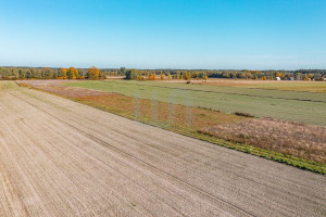 Działka na sprzedaż 3000m2 płoński Joniec Krajęczyn - zdjęcie 2