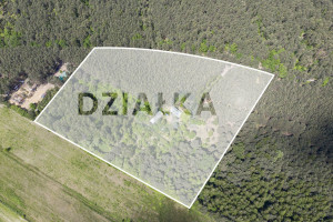 Działka na sprzedaż 35000m2 garwoliński Garwolin Wola Władysławowska - zdjęcie 1