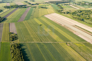 Działka na sprzedaż 10300m2 nowodworski Zakroczym Błogosławie - zdjęcie 3