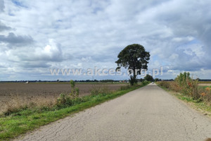 Działka na sprzedaż 1887m2 pułtuski Zatory - zdjęcie 2