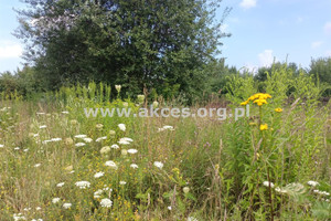 Działka na sprzedaż 3290m2 piaseczyński Tarczyn Prace Duże - zdjęcie 1